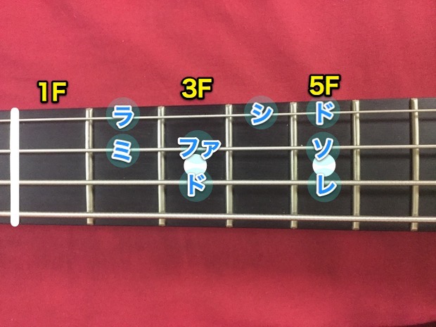 初心者向け 超簡単 ベースでドレミを弾いてみよう 画像で解説 Bass Note